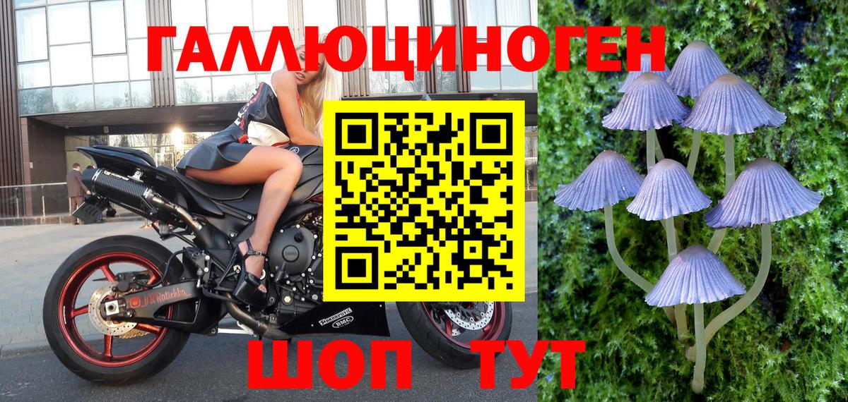 Нижний Тагил  Галлюциногенные грибы Magic Shrooms  Галлюциногенные грибы Psilocybine cubensis  Вход с VPN 
